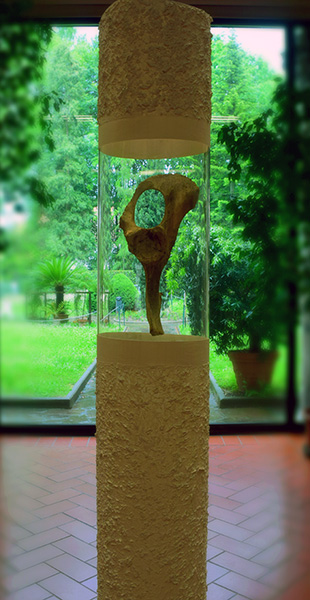 Andrea Benetti’s installation entitled Coxale, exhibited for the first time at the University of Ferrara